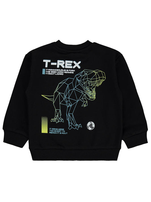 Silversun T-REX Dinozor Baskılı 2-7 Yaş Sweatshirt - Siyah