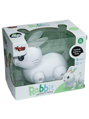 Vardem Müzikli ve Işıklı Tavşan