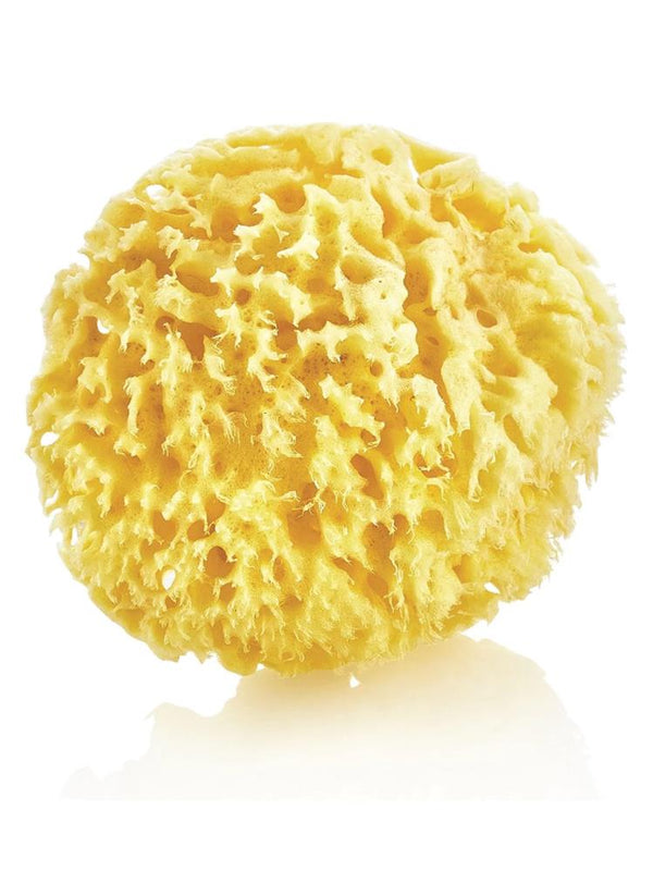 Babyjem Doğal Deniz Süngeri